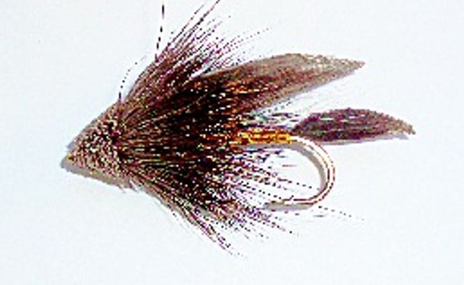 Hovedbilde Muddler Minnow