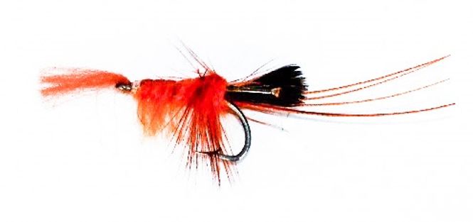 Hovedbilde Reke oransje