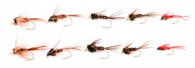 Hovedbilde Pheasant Tail blandet multi pakke (kr. 4,63 pr. stk.)