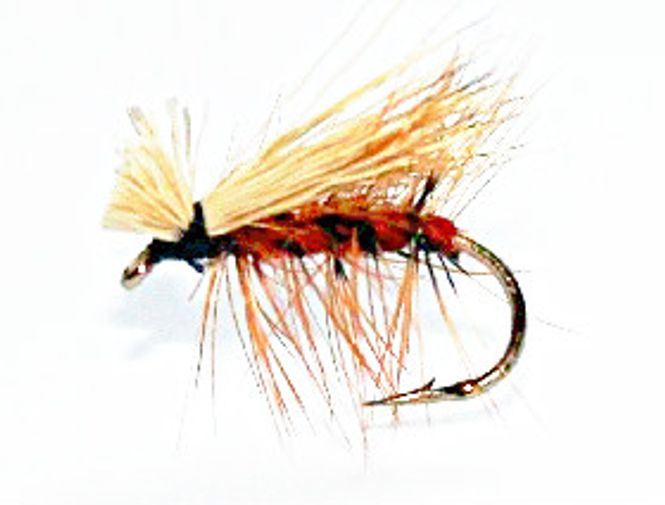 Hovedbilde Elk Hair Caddis - brun