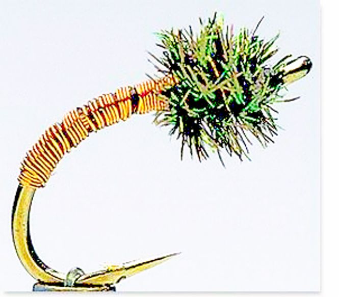 Hovedbilde Brassie Copper