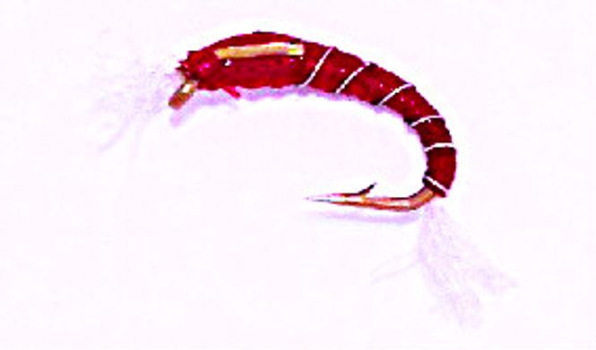 Hovedbilde Glue Buzzer - rød