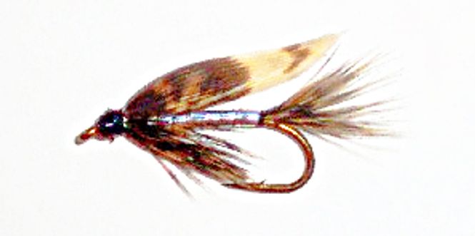 Hovedbilde March Brown Silver våtflue