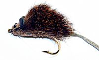 Mus (deerhair)