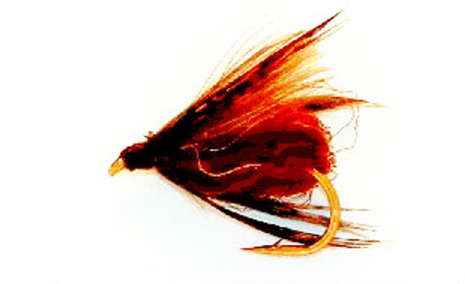 Hovedbilde Svømmepuppe